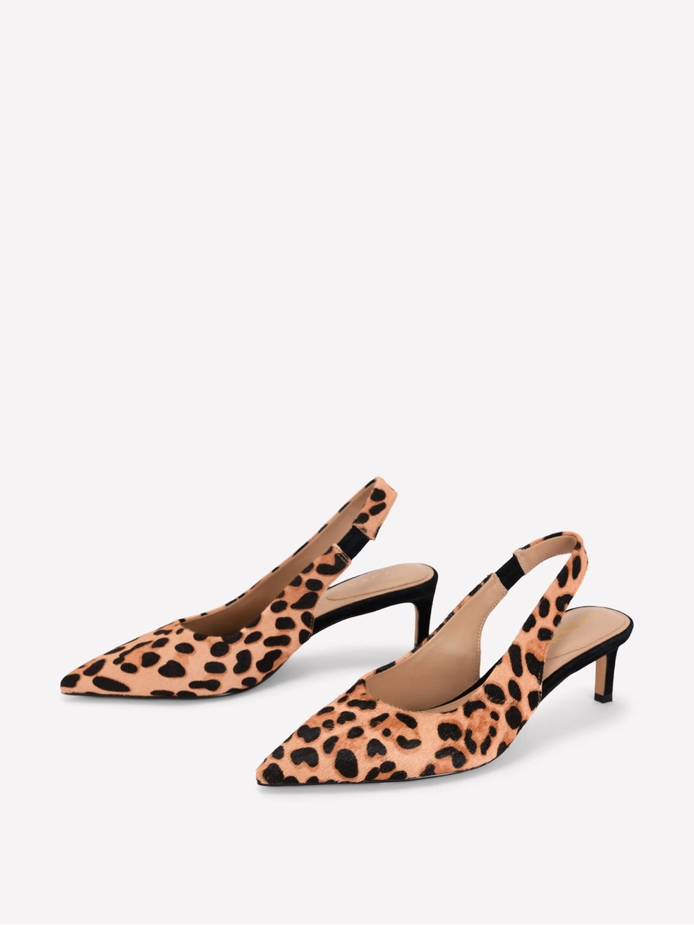 Boden Hope Pointed Slingback Leopard Kitten Heel Pumps - Women's